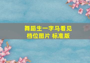 舞蹈生一字马看见档位图片 标准版